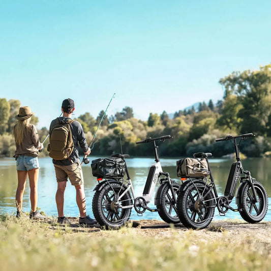 TST® Buddy Pro 20'' Folding Ebike