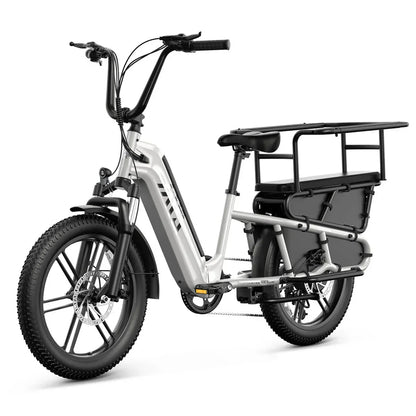 TST® Carrier 20'' Cargo Electric Bike