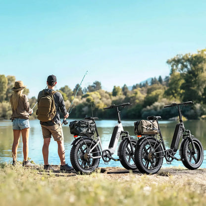 TST® Buddy Pro 20''  Folding Ebike